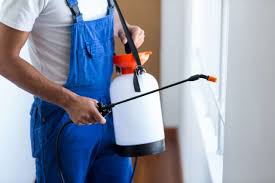 Best Fumigation Services  in Poquonock Bridge, CT